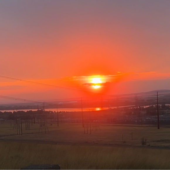 Meet your Posher, Dora - Picture 2 of 5